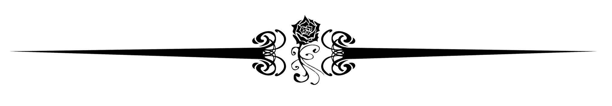 Horizontal-Line-Transparent-PNG.png