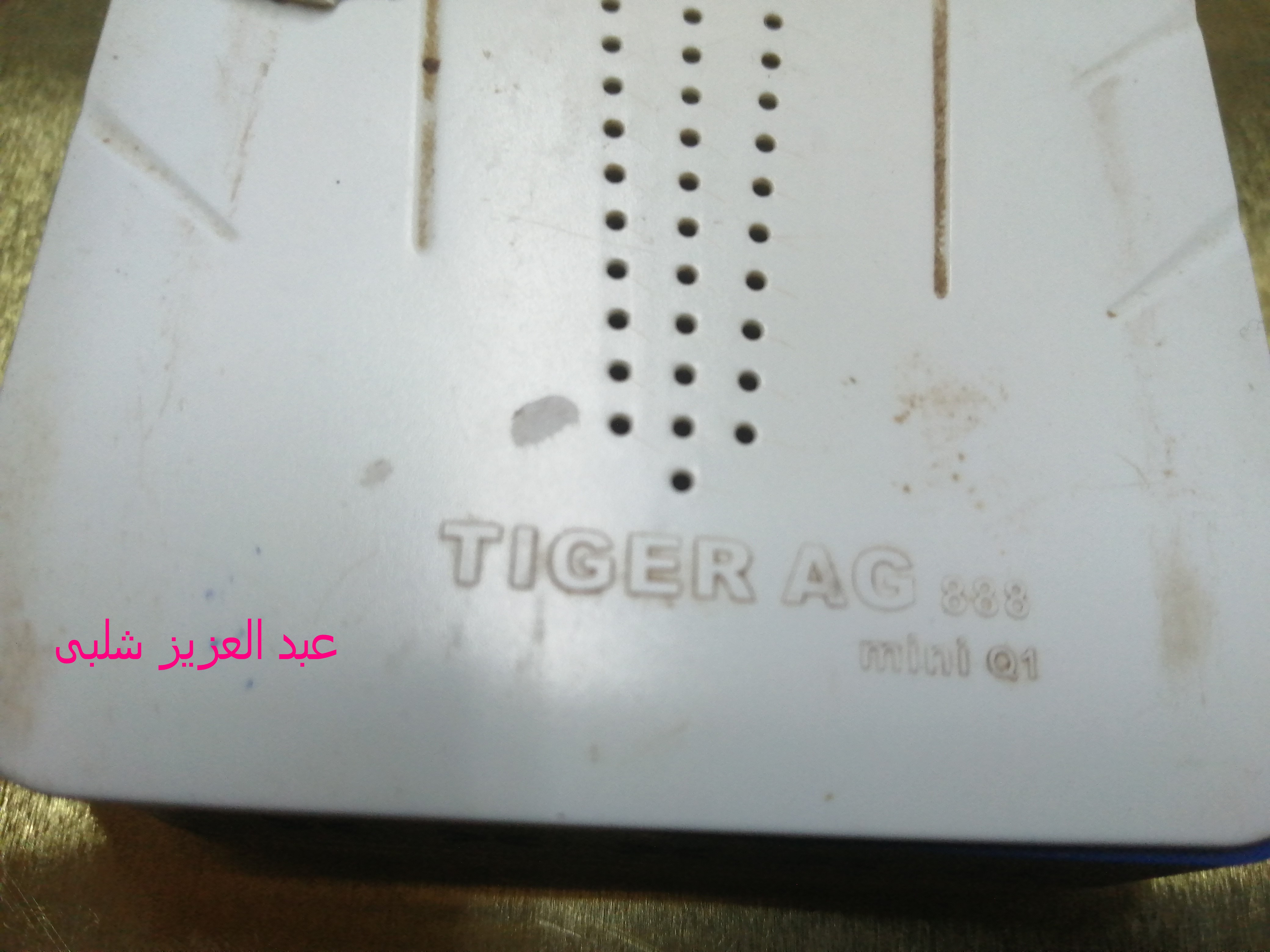  TIGER AG 888 mini Q1 3.jpg
