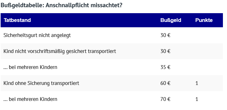 Screenshot_2025-01-17_at_11-59-10_Anschnallpflicht_Bu_geld_fur_das_Fahren_ohne_Gurt.png
