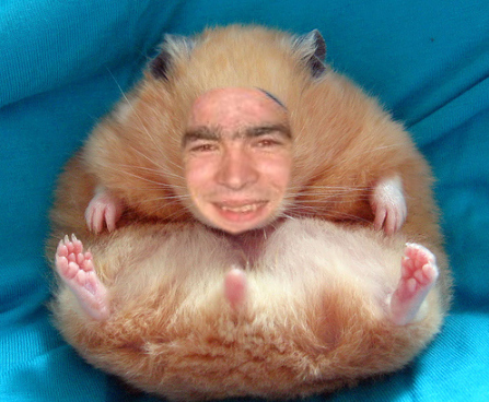 hamster.jpg