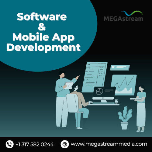 Software_____Mobile_App_Development.png