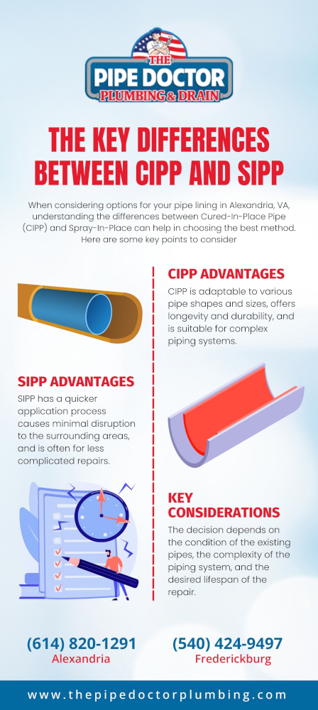 The_Key_Differences_Between_CIPP_and_SIPP.jpg