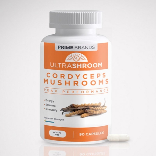 Cordyceps-mushrooms.jpg