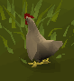 chicken.png