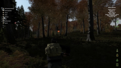 arma2oa_2012-08-13_23-11-53-11.jpg