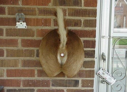 doorbell.jpg