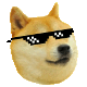 cooldoge.png