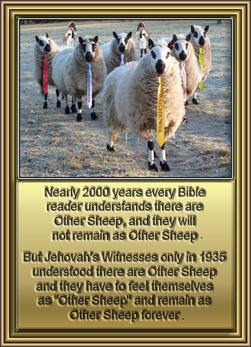 Other_Sheep_JW.jpg